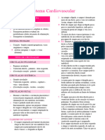 5 - Sistema Cardiovascular