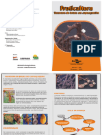 Folder Fruticultura Vassoura de Bruxa em Cupuacuzeiro