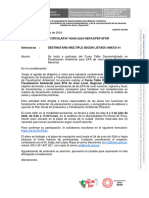 Oficio Circular 00005 2024 Oefa Dpef Sfor