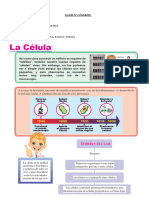 Célula Actividad