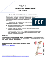 Tema 5 Anatomia de La Extremidad Superio