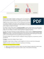 Anatomia y Fisiologia Del SNA-combined-1