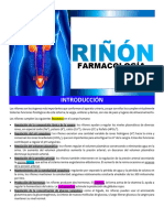 Riñón