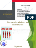 Cancer Cervico Uterino - Grupo 1