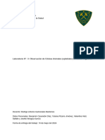 Informe LABBIOLOGÍA-1