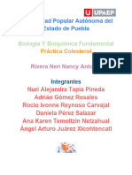 Práctica de Laboratorio - COLESTEROL