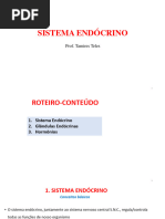 Sistema Endócrino 1