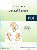 Osteología Miembro Inferior