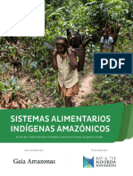 Final - Informe Sistemas Alimentarios Indigenas