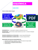 Resumo - BIOQUÍMICA (METABOLISMOS)