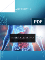 Presentacion Sistema Digestivo (Autoguardado)