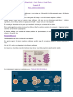 Configuracion Interna y Externa de Craneo Clase Actualizada 2o23