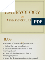 Pharyngeal Arches