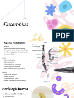 Presentación Enterobius