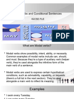 Modal Verbs and Conditional Sentences