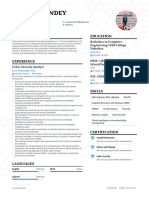 Rounak Pandey Resume