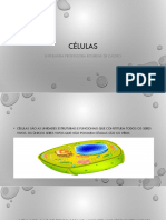 Aula 1 Anatomia Células