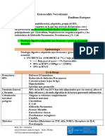 Enterocolitis Necrotizante