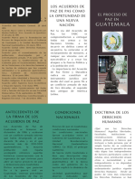 Folleto Trifold Triptico Brochure Flyer Lujo Negocio Profesional Elegante  