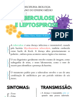 Tuberculose e Leptospirose