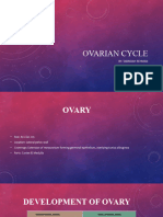 Ovarian Cycle