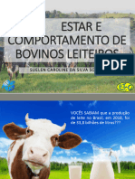 Bem-Estar e Comportamento de Bovinos Leiteiros