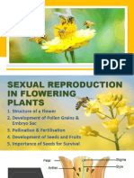 FORM 5 6.0 Sexual Reproduction in Plants