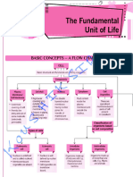 CBSE - IX NOTES - (CHAPTER - The Fundamental Unit of Life)