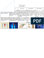 Cuadro Comparativo Biologia (Listo)