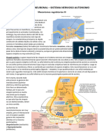 Clase 6 Comunicacion Neuronal