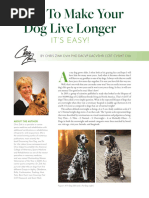 ShowSight March How To Make Your Dog Live Longer - Zink - 3