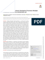 The Atypical Antipsychotic Quetiapine Promotes Multiple Antibiotic Resistance in Escherichia Coli