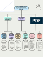 Mapa Conceptual