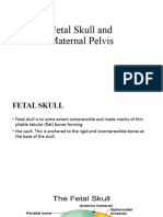 Fetal Skull and Maternal Pelvis