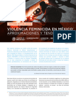 Violencia Feminicida en México