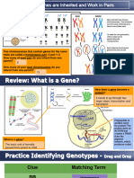 Genetic Patterns and Diseases Presentation