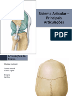 Anatomia - 06 - Sistema Articular (Principais Articulações)