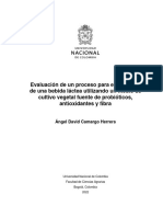 Evaluación de Un Proceso para Elaboración de Una Bebida Láctea Utilizando Un Medio de Cultivo Vegetal Fuente de Probióticos, Antioxidantes y Fibra