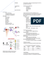 Interpretação de Exames Laboratoriais