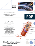 Clase 04 - Microbiología Ambiental