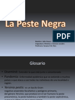 Peste Negra