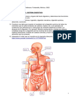 TP Digestivo