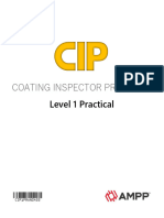 Coating Inspector Program Level 1 Practi