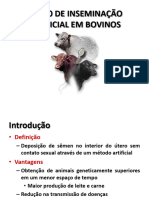 Curso de Inseminacao Artificial em Bovinos