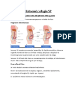 Histoembriología S2