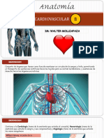 8 Cardiovascular