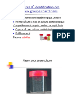 XI-Critères D'identification Des Principaux Groupes Bactériens