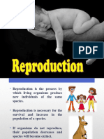 Class X Chapter 8 How Do Organisms Reproduce