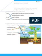 Evaluaciòn de Ciencia