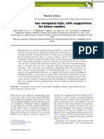 Functions of Avian Elongated Tails With Suggestions For Future Studies - Review Article